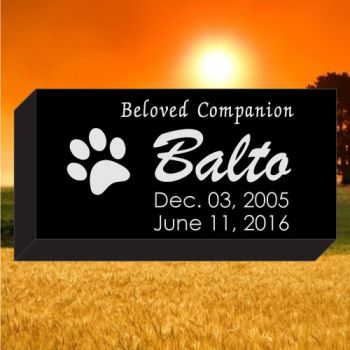 12x6x2 Black All Laser Etched Pet Marker #871L