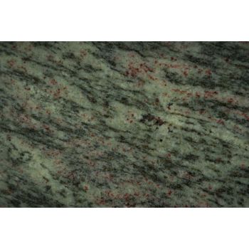 Tropical Green - Color Chip